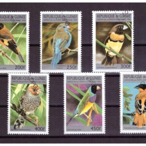 Z-Guinea-Mich.1589-1594