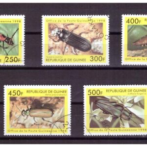 Z-Guinea-Mich.1894-1899