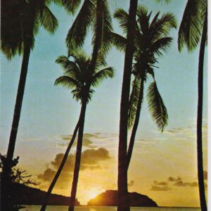 P-Martinique