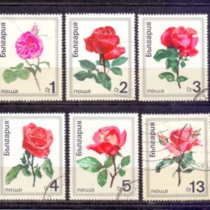 Z-Bulgaria Mich.1999-2004