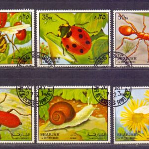 Z-Shajrah Mich.1204-1209 A